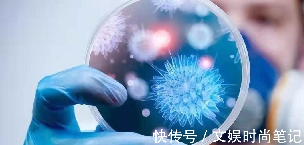 2又有5款饼干被检出致癌,奥利奥上榜?让医生告诉你,还能不能放心吃