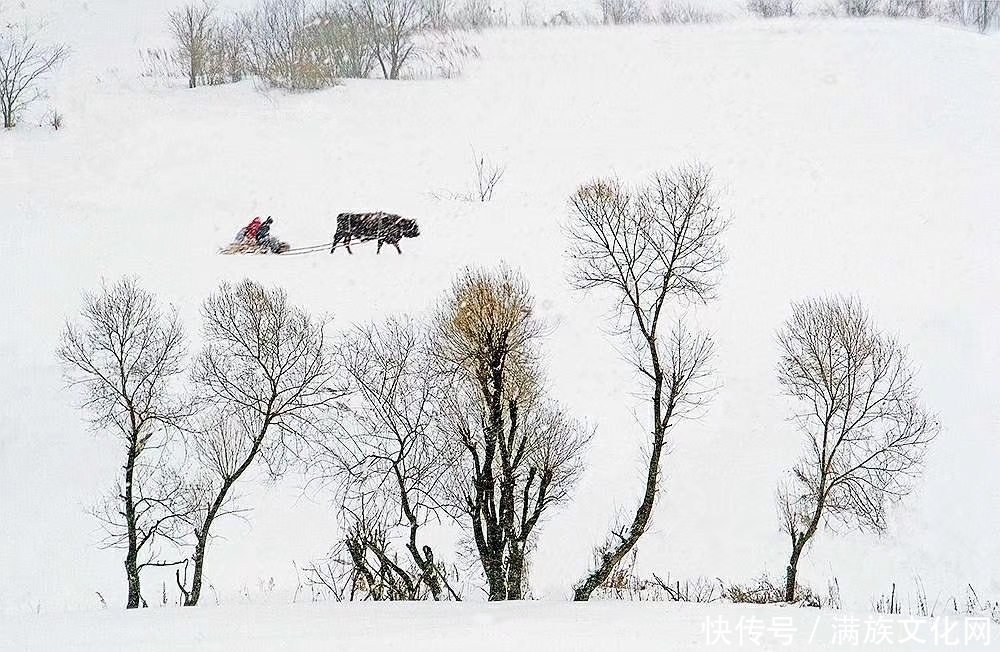  马车|从林海雪原中“爬犁竟比马车快”的怪现象，看东北爬犁民俗史