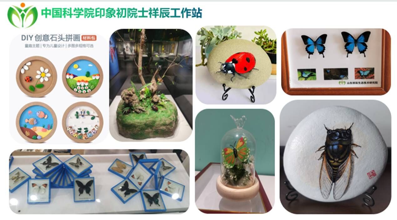 衍生品&新春新去处，济阳区美术馆举办黄河流域昆虫科普文化展