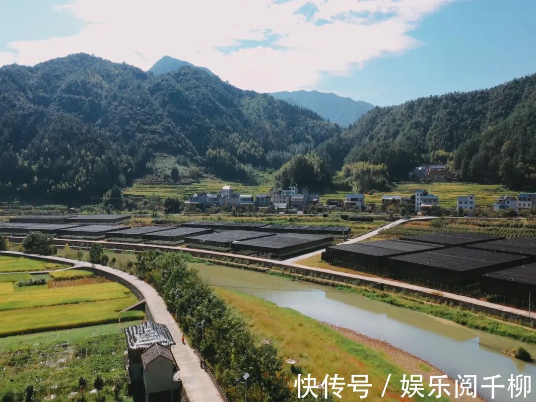 覆盆子|庆元村落庆元周边的神仙古村，周末隐居刚刚好！