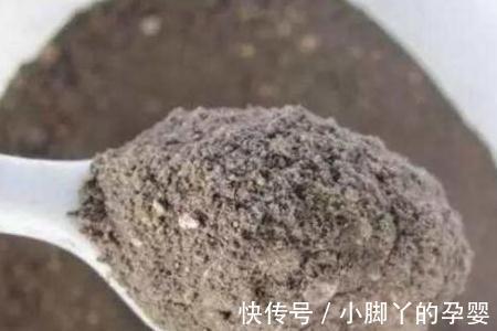 君子兰长得慢,不抽花箭,离不开2个原因,这些你做对了吗