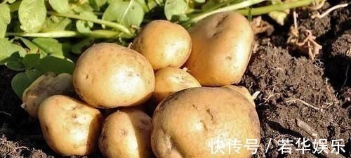 胃病|胃不好的人，这些食物尽量别吃，别到胃病发作时才知道