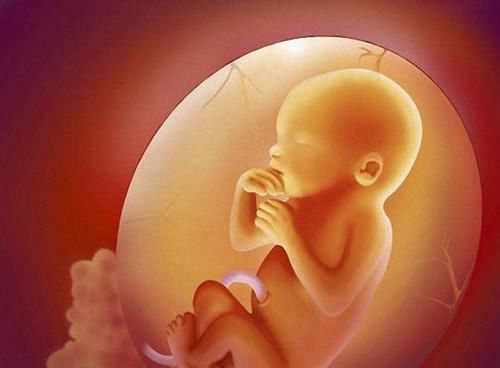 孕妈们|产检时医生都会问些什么问题?早知道避免尴尬!