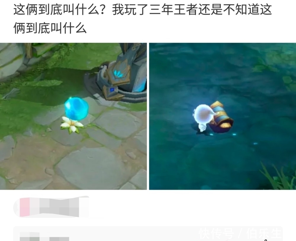 神评|“玩了三年这游戏,还不知道这俩到底叫什么?”哈哈……神评精辟了!