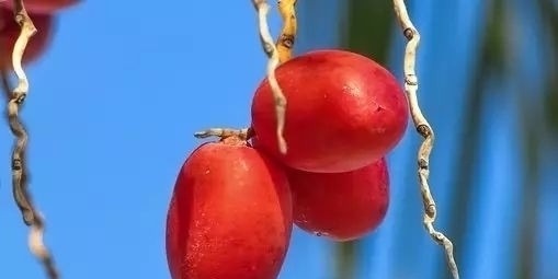 提高免疫力|每天运动量达到多少才算合适，不过度又有效果？教你怎么算