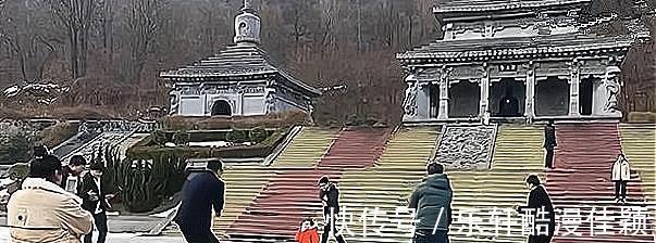 兄弟姐妹|外甥女的8个舅舅,回家团圆场面壮观,成功晋级为“团宠”