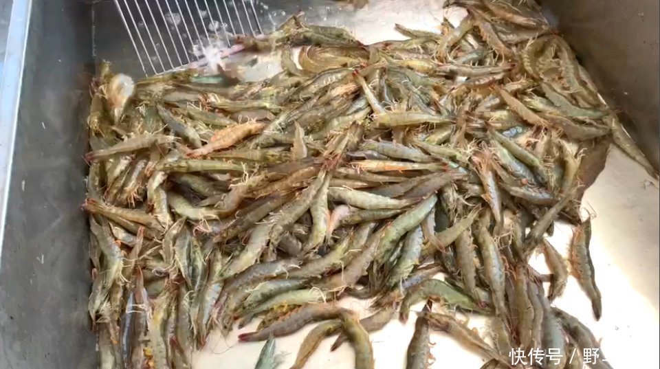 大虾冷冻保存时,直接放冰箱就错了,教你1招,跟鲜虾一样好吃