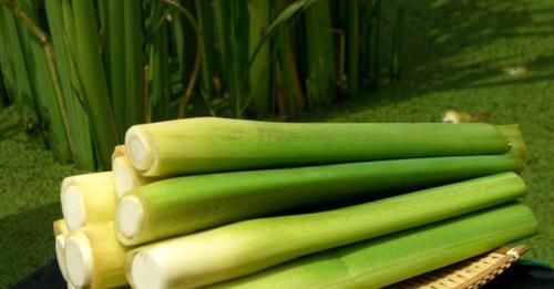 想长寿得会吃,常吃以下3种食物, 润肠通,清热生津,好处多多