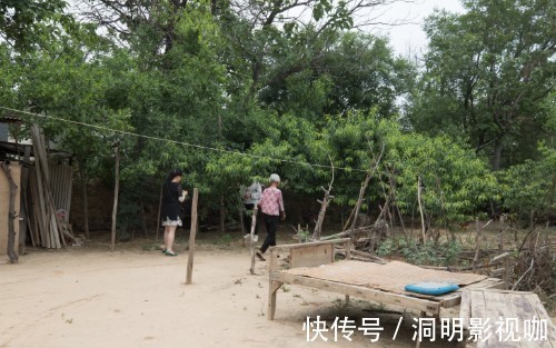 桃树#八旬夫妇住蟠桃园里，黄河就从眼前过，蟠桃熟时喊路人随便摘着吃