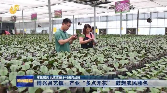 樱桃|趣味定格动画:白天和夜晚的小美有什么不一样?晚上会变成船员