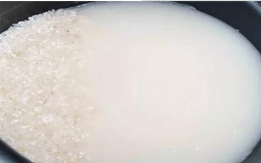 叶子|铜钱草生长“缓慢”,叶子太小用“1种水”猛浇,呼呼爆长!