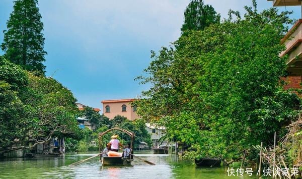 绿色瓜果长廊,水上绿道,不要错过广州这个美丽的乡村