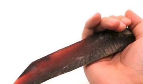 打破|全世界最“硬”的鱼,可以当做菜刀使用,打破吉尼斯纪录