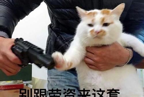 战法|DNF：普天同庆，魔界人作威作福的日子终于过去了，战法魔道再也不能欺负队友了。