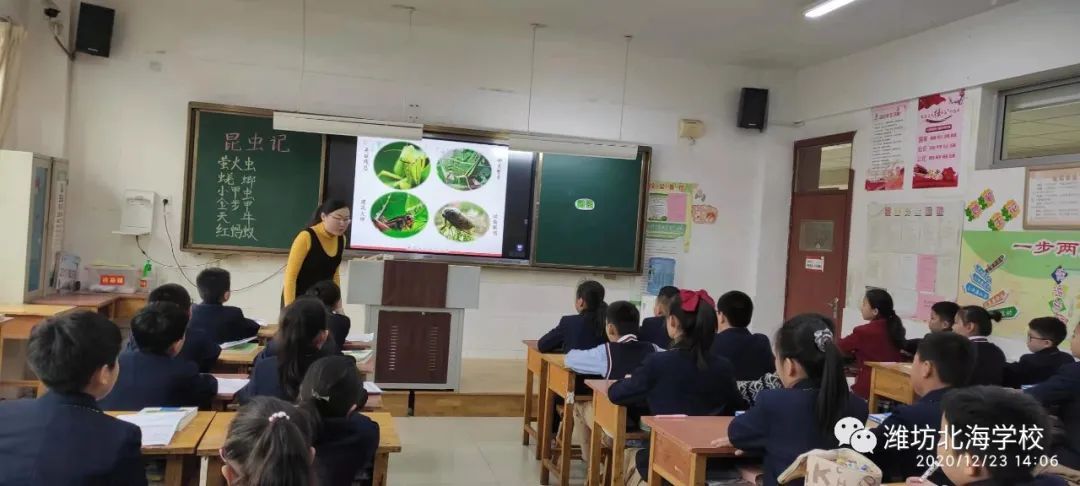 生命的礼赞——北海学校小学部举行整本书《昆虫记》阅读教研活动