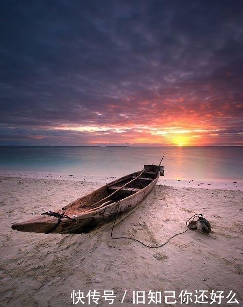 年纪|《红楼梦》贾迎春的悲惨命运告诉我们别在最该拼命的年纪装佛系