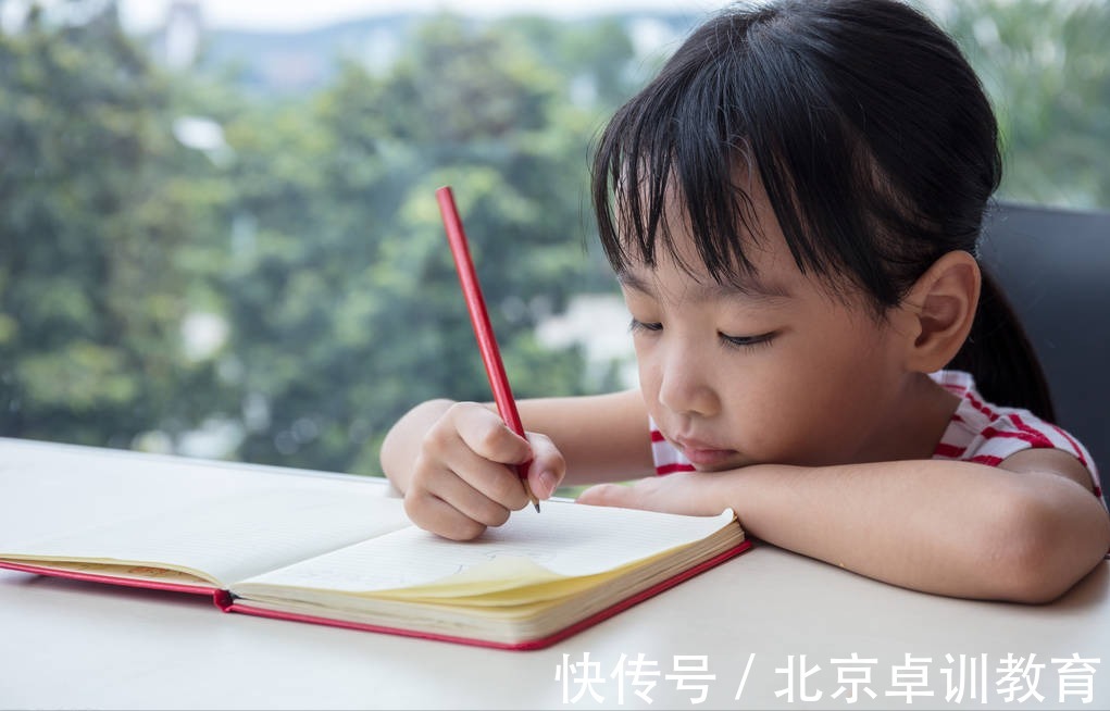 粗心大意|怎样帮孩子培养认真细致的能力?