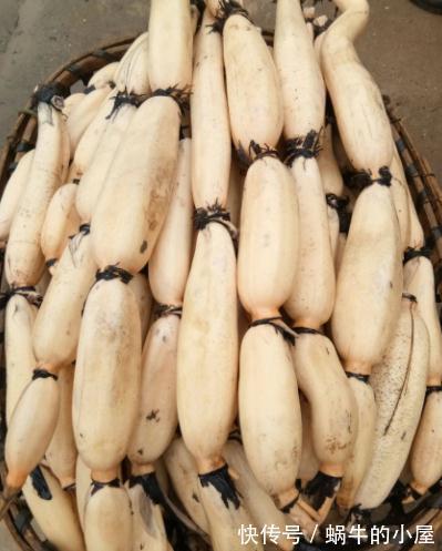 钙锌铁矿物质|秋分后，记得“多吃3白，少吃2瓜”，营养美味去秋燥，好吃不贵！