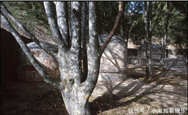 怡王陵|大清朝灭亡后,王爷后代挖祖坟盗取随葬宝物,是为何