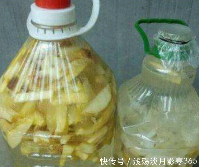 杜鹃、栀子、茶花,南花北养爱黄叶,三种“酸水”能改善