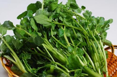 對身體很好的3種食物，每天吃一些，排毒養(yǎng)顏，身體棒棒噠！