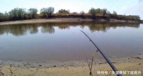 钓鱼|鱼多就是任性，扔下鱼饵就有鱼吃，上来就放岸边，也不怕它们逃跑