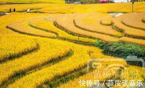 宜居|江西生态最美的山区县，客家梯田面积达4万多亩，景色如画很宜居