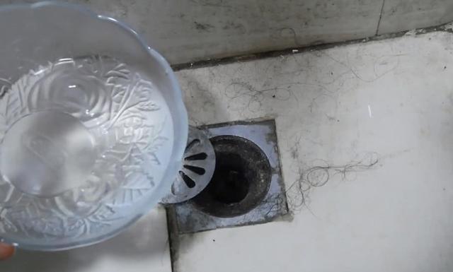 卫生间里老有小黑虫赶紧倒一碗它,异味黑虫全消灭,快告诉家人