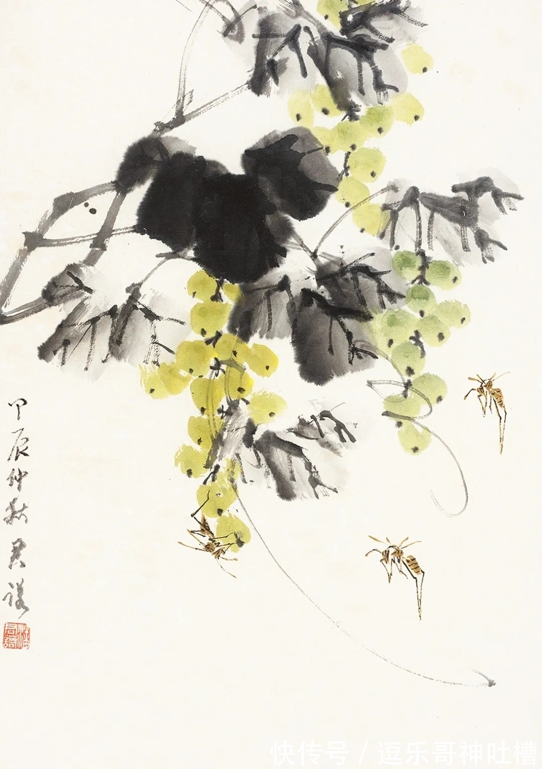 花鸟画!写虫圣手!潘君诺花鸟画