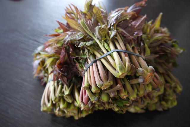 香椿菜|女性身体血液通畅,子宫才干净,多食此菜,防妇科病,排子宫污血