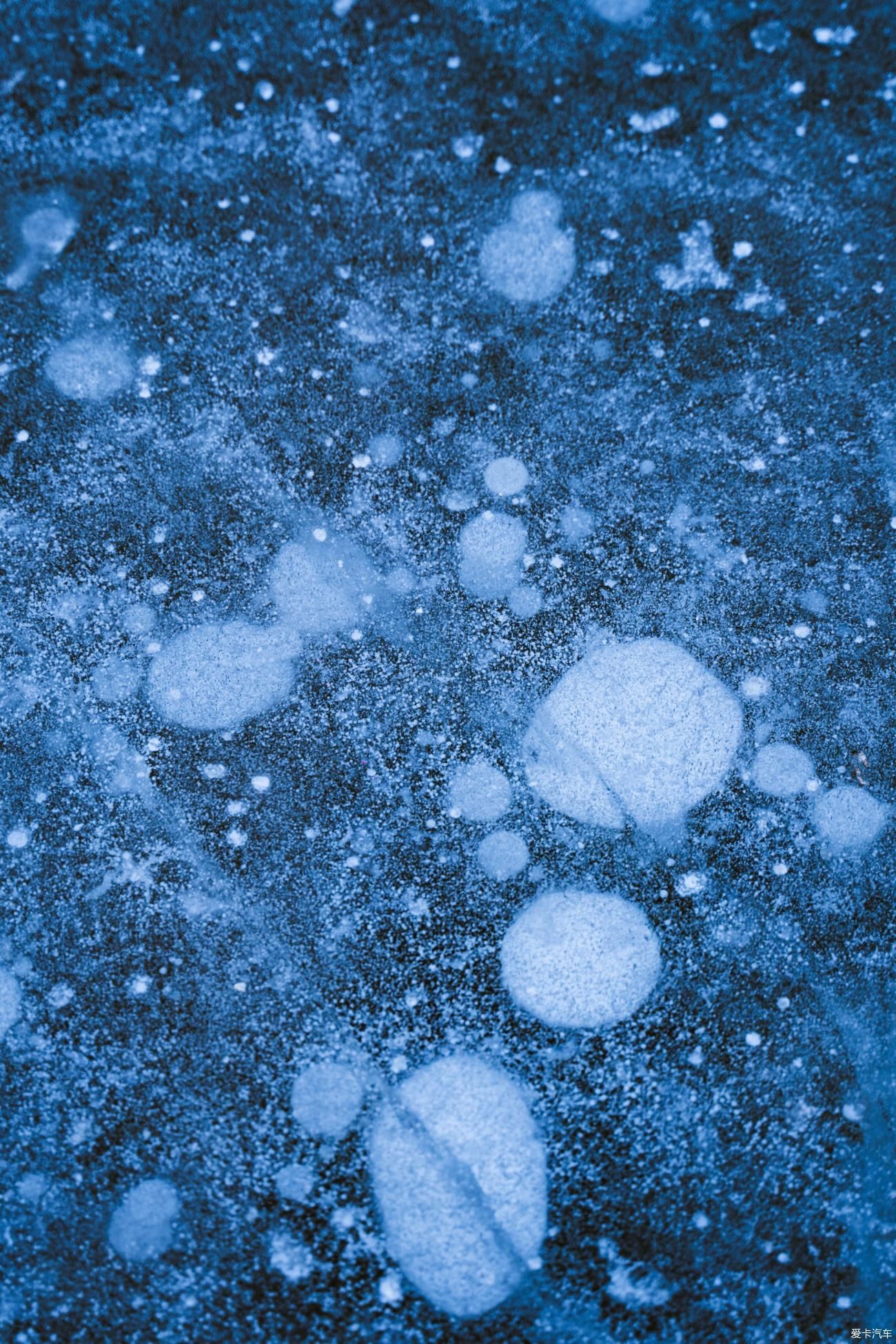 老年|在寂静雪原 遇见雪花真实的形状