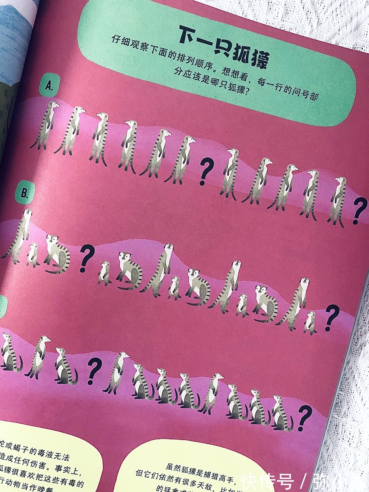 阅读|孩子不喜欢阅读?不喜欢看科普书?用对方法,孩子一样会爱上阅读