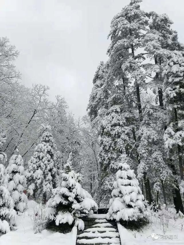 赏雪好去处！陕西黑河国家森林公园雪景和森林并存，风景美如画