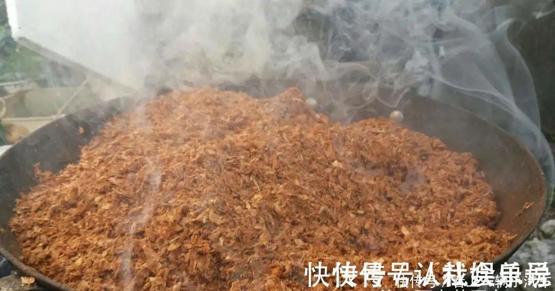 生石灰|养花技巧：花盆里出现这个，抓紧换盆，不然一浇水就死翘翘