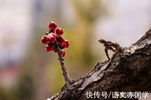 增广贤文$中国经典百句名言及译文,来看看有多经典,有你不知道的吗?