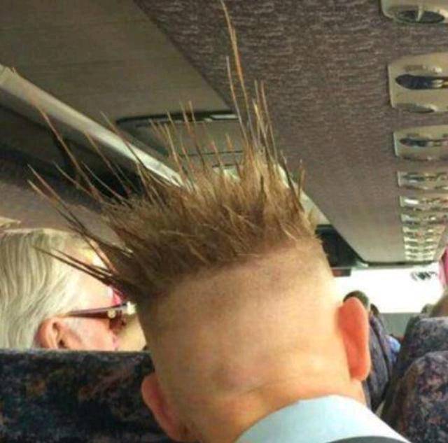 |搞笑图片幽默段子笑话鸟儿也很气派啊,还会抽烟呢,真不错哦