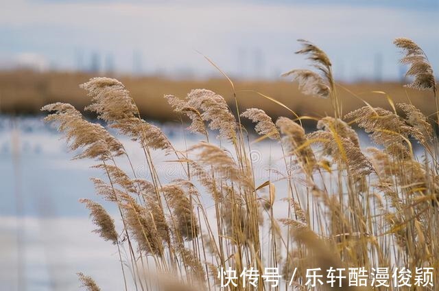 深水处|冬季钓鲫鱼，钓深还是钓浅钓远还是钓近看看我怎么说