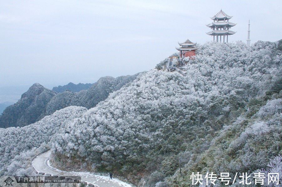 大明山|等你观赏！大明山景区12月26至28日将出现冰凌雾凇