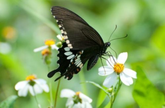 圣人#《道德经》:悟透这五个字,才发现最高明的管理者都有这种特质!