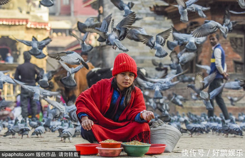 加德满都|尼泊尔加德满都：马拉王朝的古建筑与鸽群