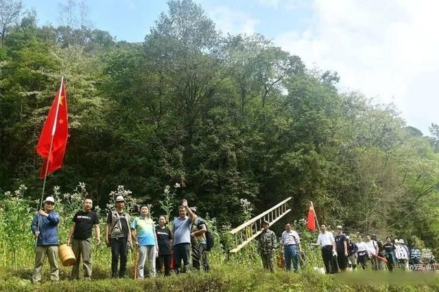 岩壁|探秘鬼斧神工的汉中“大屋基”地缝峡谷，秦巴深处的地质奇观