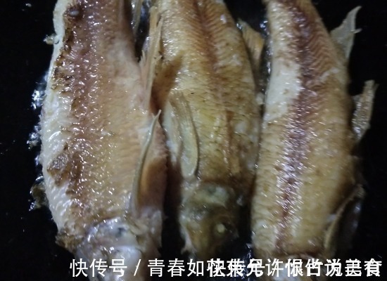 老鼠鱼|这美味小孩要多吃,促进大脑发育,比牛奶强,个头一窜再窜