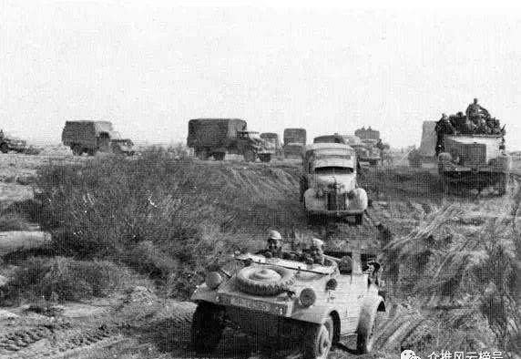 德国|德军二战的100万“动物部队”,没它们可能早就输了