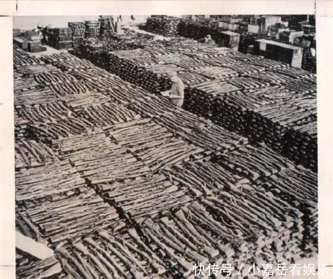 盟军|德军战败,盟军缴获这么多武器怎么办盟军头疼德国也头疼