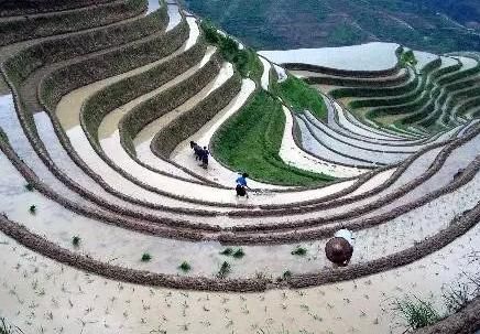 番茄汤|夏季养生的10个“最佳”,6个“最怕”,赶紧收藏