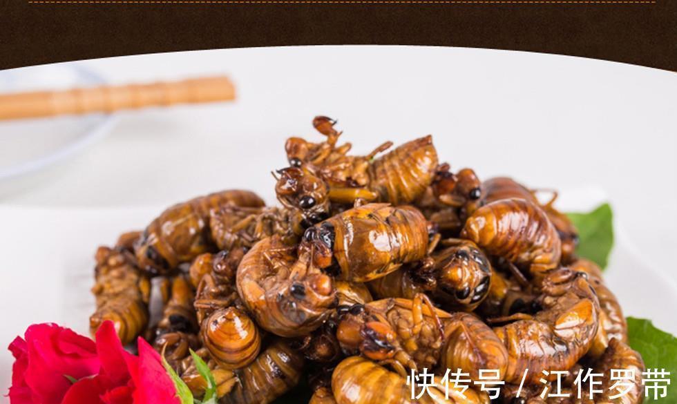 身体不适|吃“知了猴”有什么危害?多数人可能还不清楚,吃前不妨先了解下