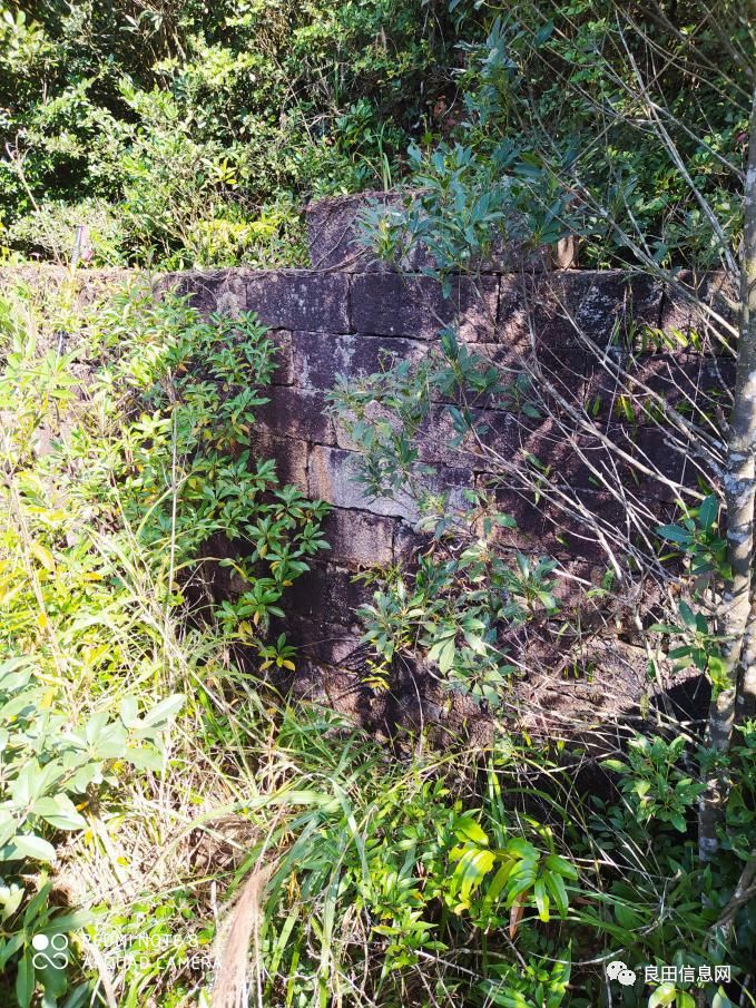 高峰|探寻揭西第一高峰附近的仙人塘古庵遗址