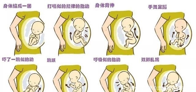 活动|什么样的胎动是好胎动?通过胎动辨异常的本领,孕晚期的你请查收