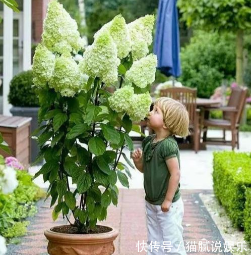 这9种花园,随便1个都美上天了,有一种这辈子就满足了!