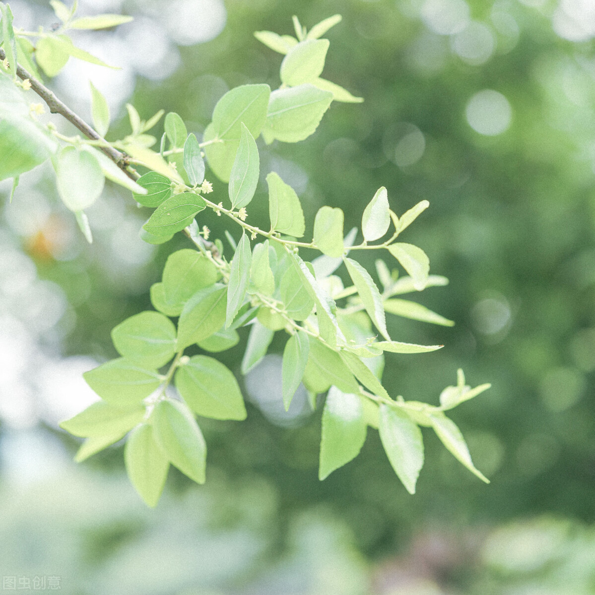 我们这一生,最亏欠的是自己